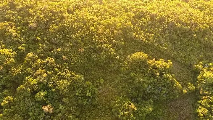 Chácara à venda de 10 ha em Santo Antônio da Patrulha, RS, Brasil