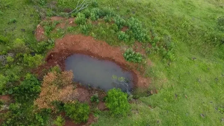 Chácara à venda de 10 ha em Santo Antônio da Patrulha, RS, Brasil
