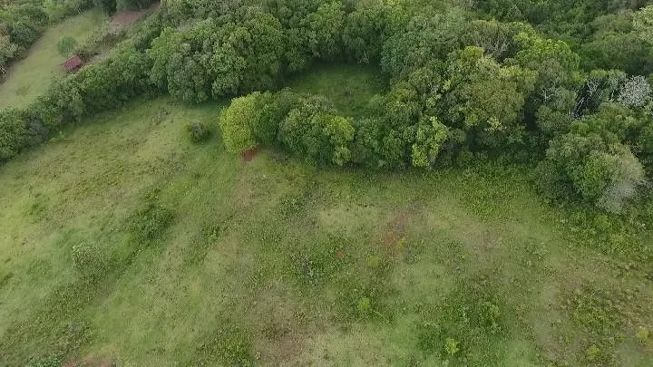 Chácara à venda de 10 ha em Santo Antônio da Patrulha, RS, Brasil