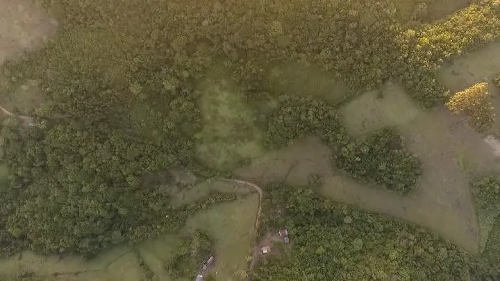 Chácara à venda de 10 ha em Santo Antônio da Patrulha, RS, Brasil