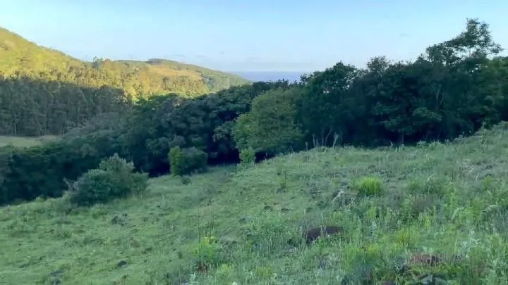 Chácara à venda de 10 ha em Santo Antônio da Patrulha, RS, Brasil