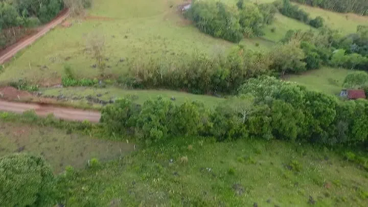 Chácara à venda de 10 ha em Santo Antônio da Patrulha, RS, Brasil