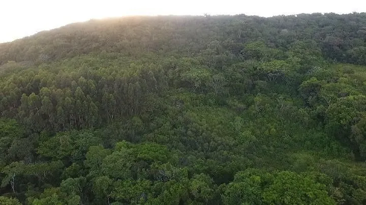 Chácara à venda de 10 ha em Santo Antônio da Patrulha, RS, Brasil