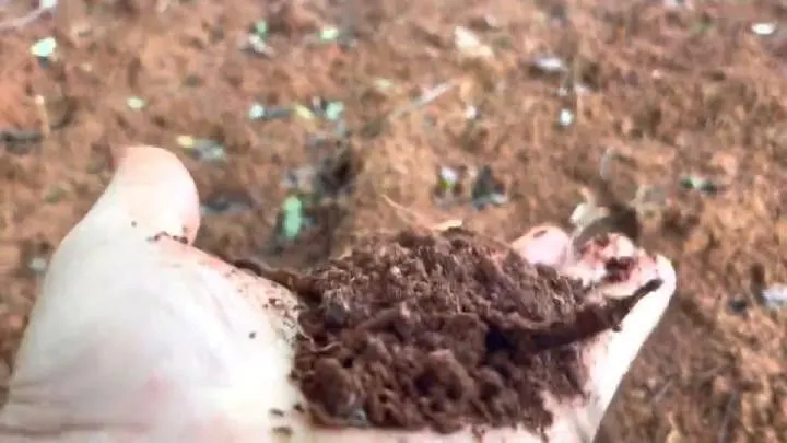 Chácara à venda de 10 ha em Santo Antônio da Patrulha, RS, Brasil