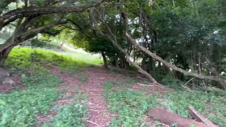 Chácara à venda de 10 ha em Santo Antônio da Patrulha, RS, Brasil