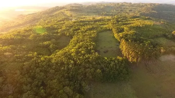 Chácara à venda de 10 ha em Santo Antônio da Patrulha, RS, Brasil