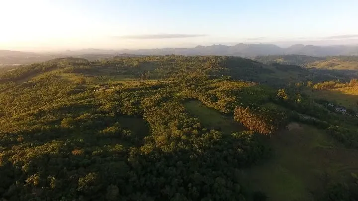 Chácara à venda de 10 ha em Santo Antônio da Patrulha, RS, Brasil