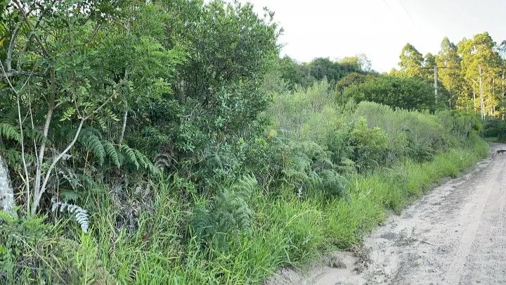 Chácara à venda de 9.200 m² em Santo Antônio da Patrulha, RS, Brasil