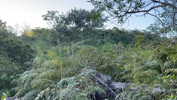 Chácara à venda de 9.200 m² em Santo Antônio da Patrulha, RS, Brasil