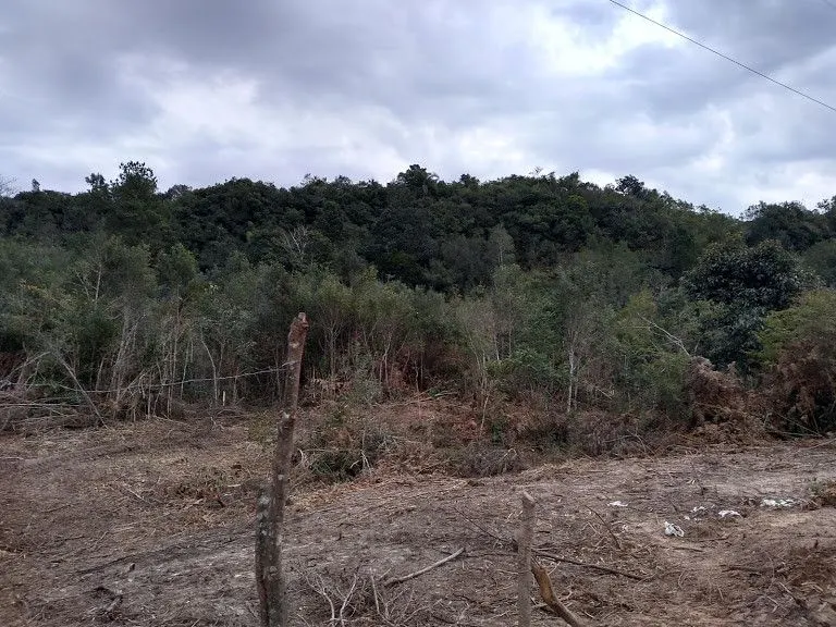 Chácara à venda de 9.200 m² em Santo Antônio da Patrulha, RS, Brasil