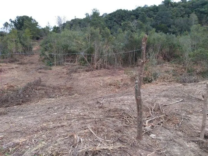 Chácara à venda de 9.200 m² em Santo Antônio da Patrulha, RS, Brasil