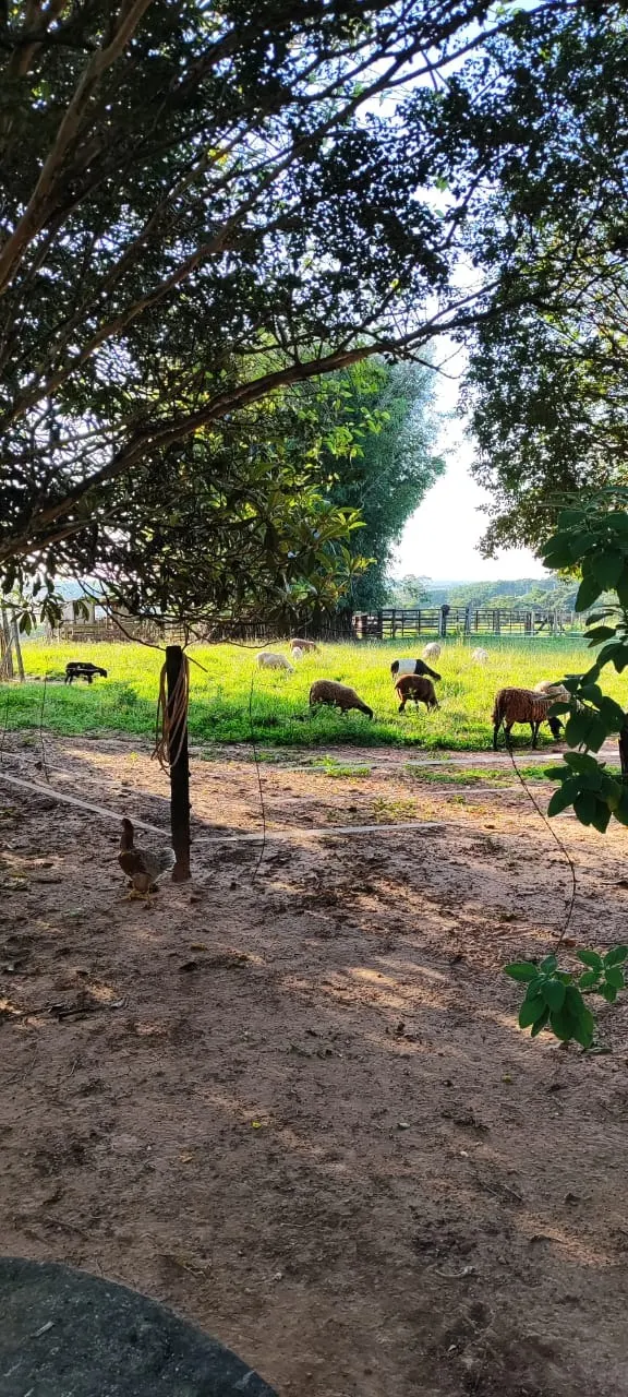 Fazenda à venda de 14 ha em São Miguel Arcanjo, SP, Brasil
