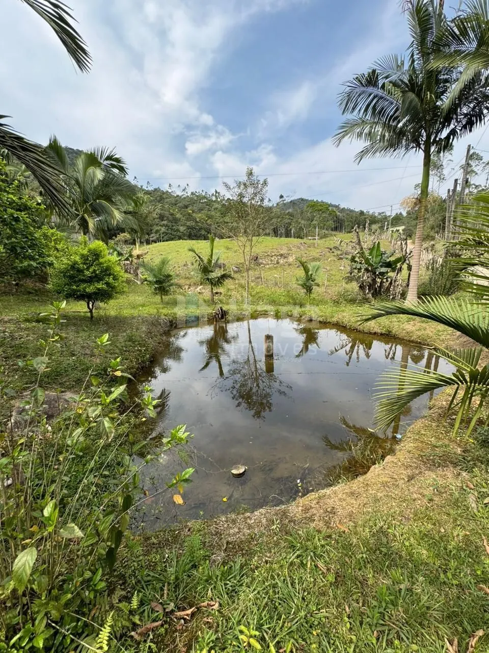 Fazenda à venda de 3.000 m² em Tijucas, SC, Brasil