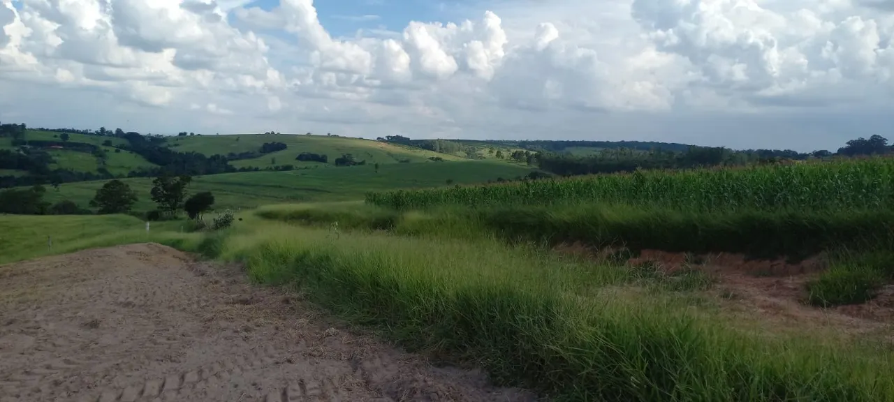 Fazenda à venda de 59 ha em Tatuí, SP, Brasil