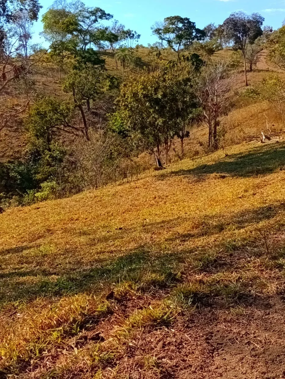 Farm for sale of 3,110 acres in Padre Bernardo, GO, Brazil