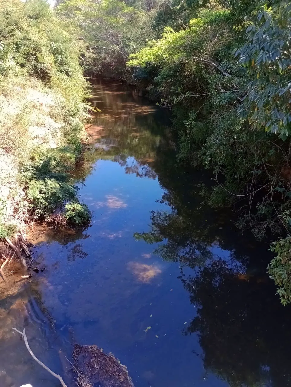Farm for sale of 3,110 acres in Padre Bernardo, GO, Brazil