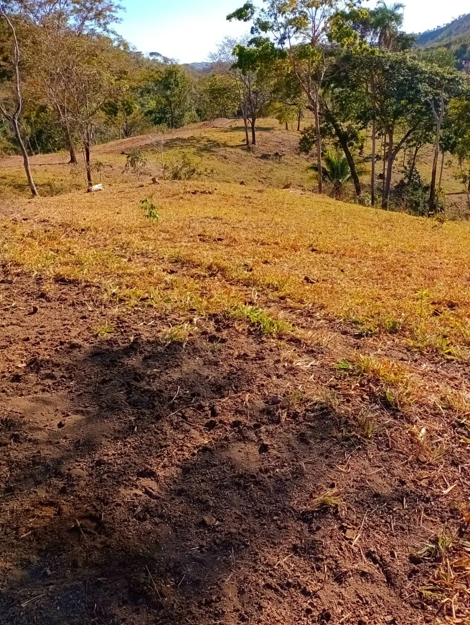 Farm for sale of 3,110 acres in Padre Bernardo, GO, Brazil