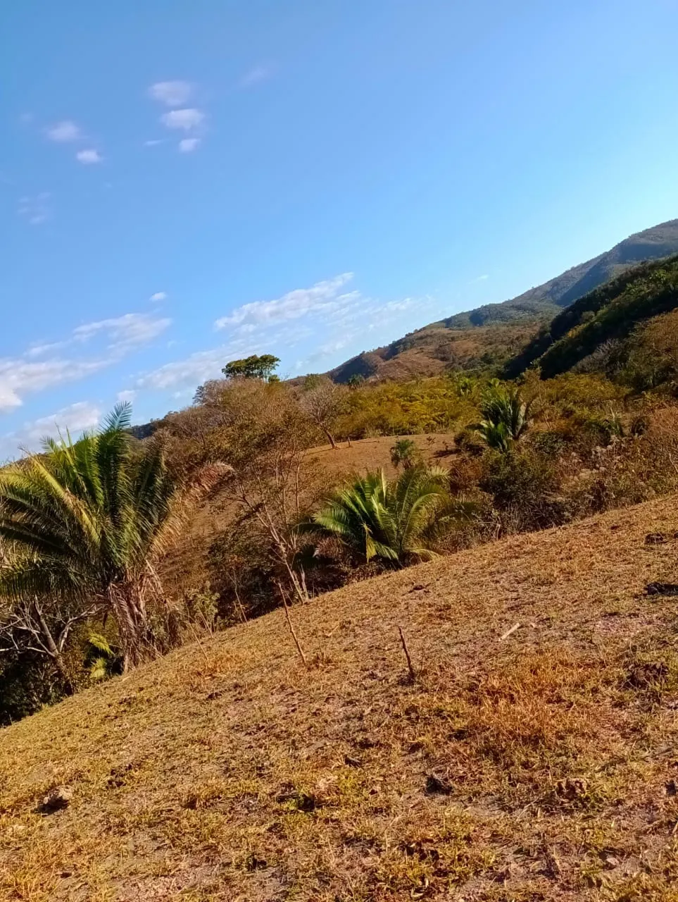 Farm for sale of 3,110 acres in Padre Bernardo, GO, Brazil