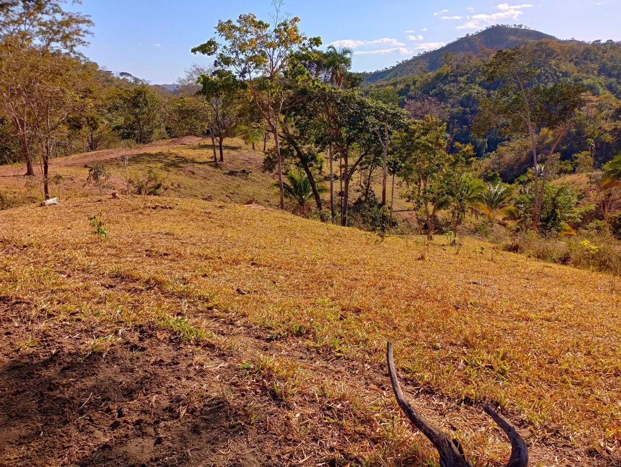 Farm for sale of 3,110 acres in Padre Bernardo, GO, Brazil