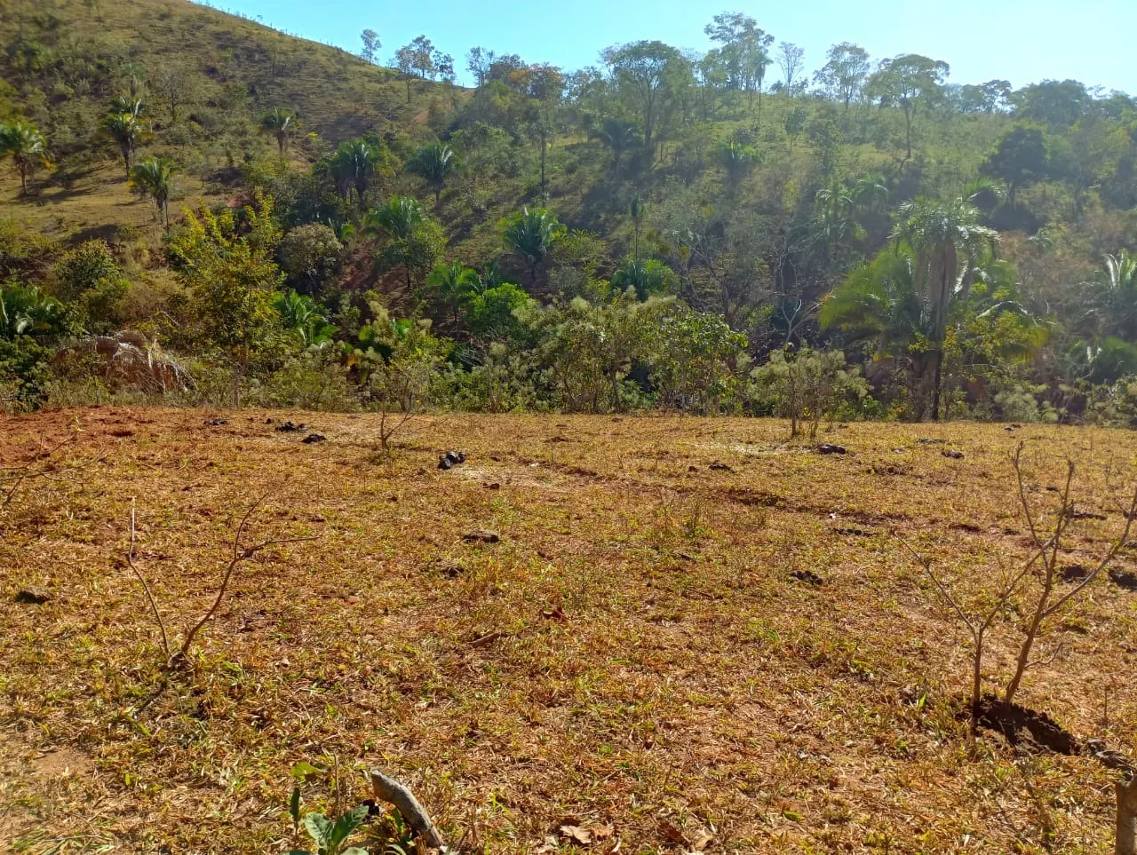 Farm for sale of 3,110 acres in Padre Bernardo, GO, Brazil