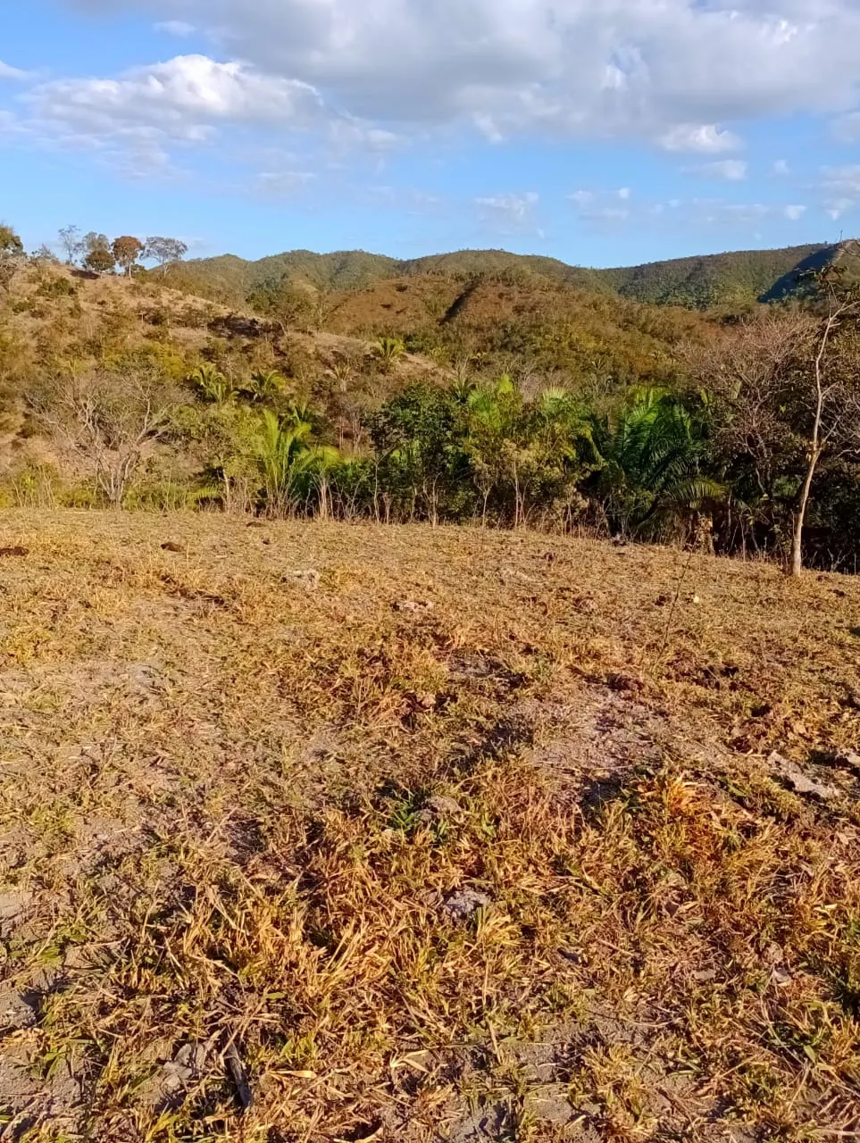 Farm for sale of 3,110 acres in Padre Bernardo, GO, Brazil