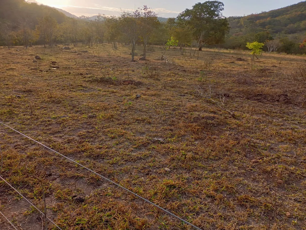 Farm for sale of 3,110 acres in Padre Bernardo, GO, Brazil