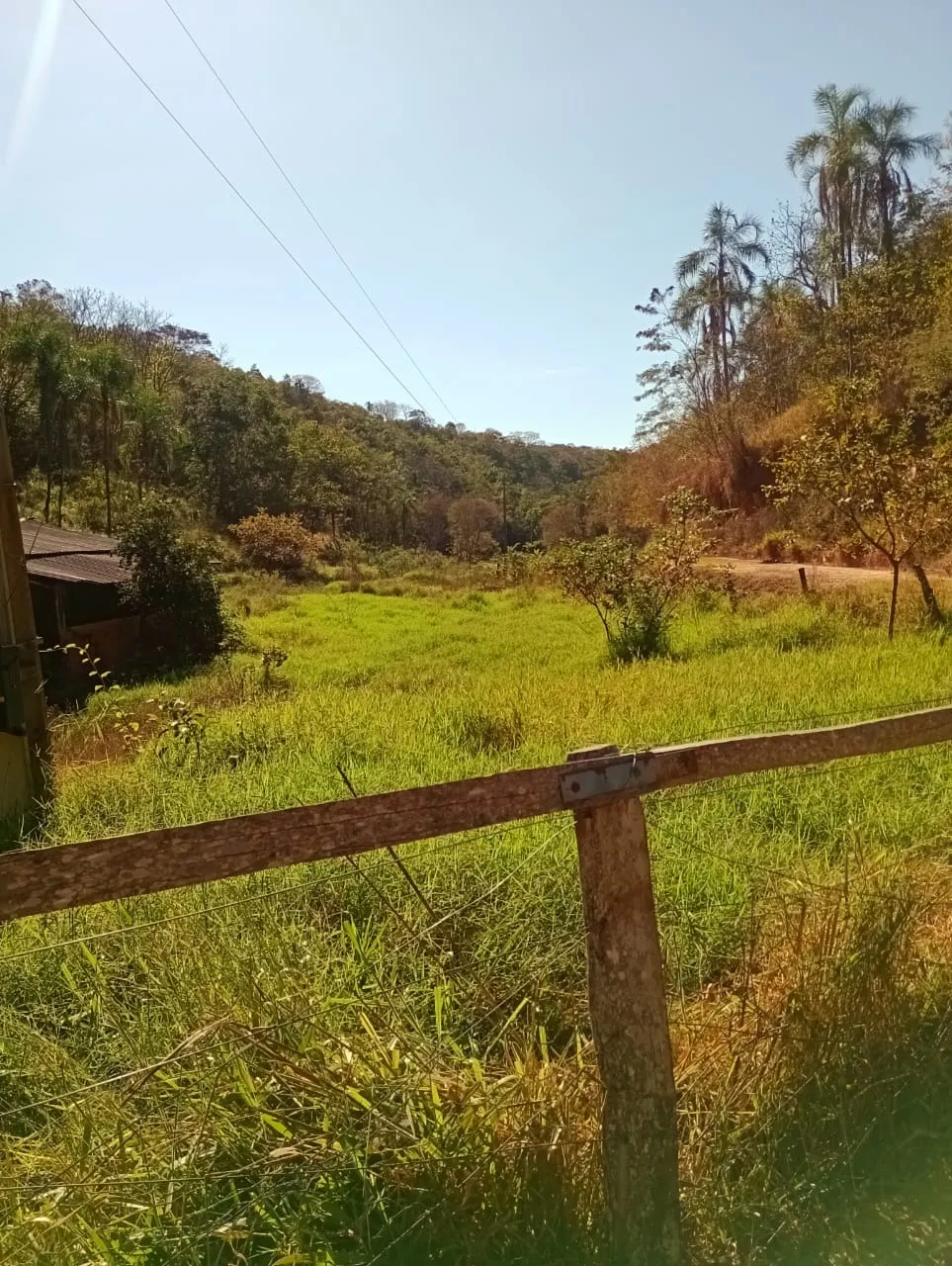 Farm for sale of 3,110 acres in Padre Bernardo, GO, Brazil