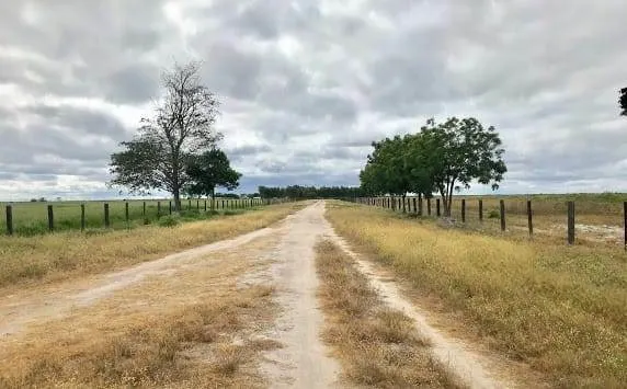 Fazenda à venda de 17.520 ha em Muquém de São Francisco, BA, Brasil