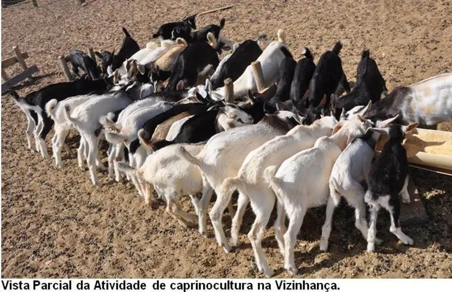 Fazenda à venda de 17.520 ha em Muquém de São Francisco, BA, Brasil