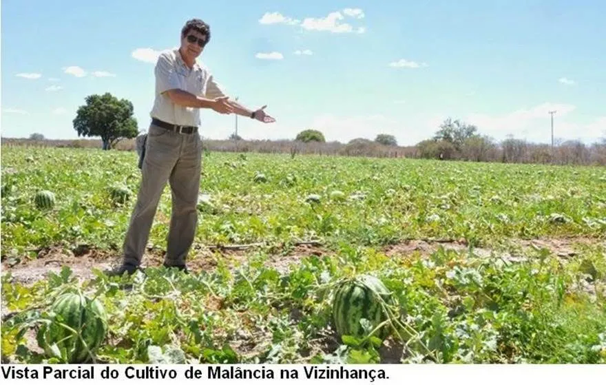 Fazenda à venda de 17.520 ha em Muquém de São Francisco, BA, Brasil