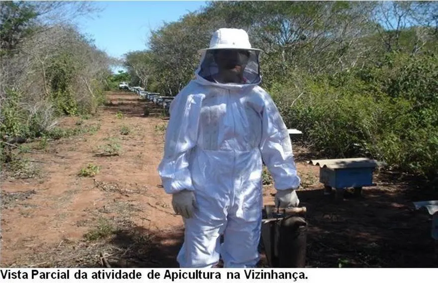 Fazenda à venda de 17.520 ha em Muquém de São Francisco, BA, Brasil
