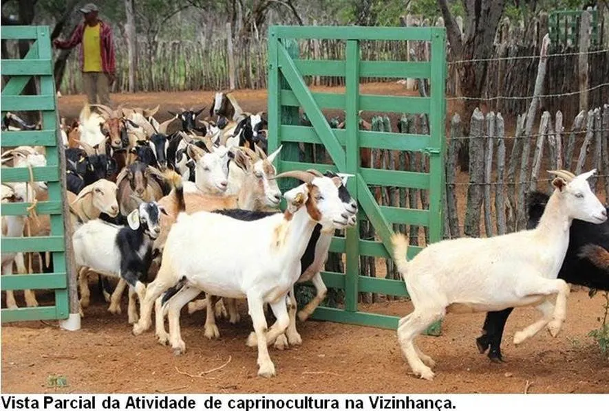 Fazenda à venda de 17.520 ha em Muquém de São Francisco, BA, Brasil
