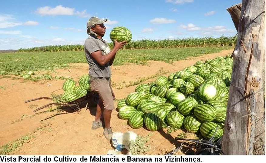 Fazenda à venda de 17.520 ha em Muquém de São Francisco, BA, Brasil