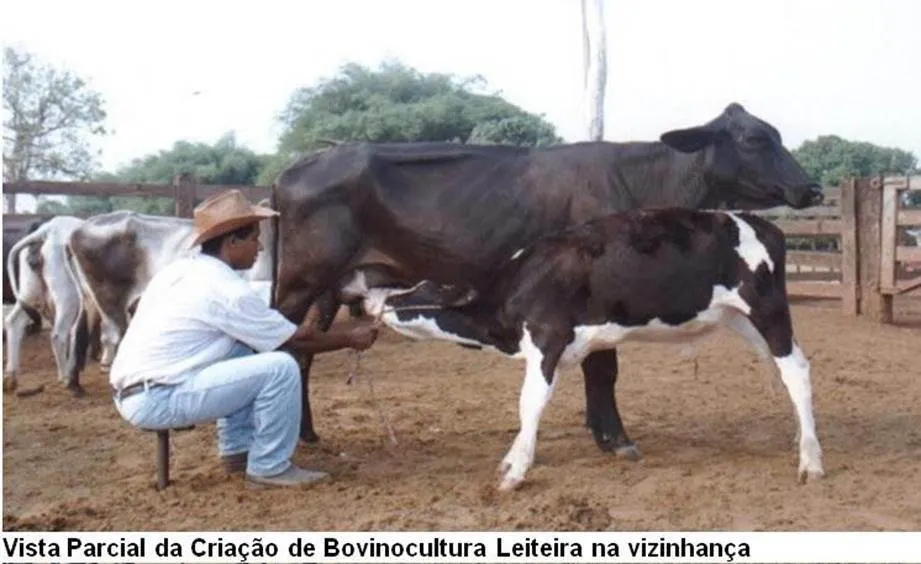 Fazenda à venda de 17.520 ha em Muquém de São Francisco, BA, Brasil