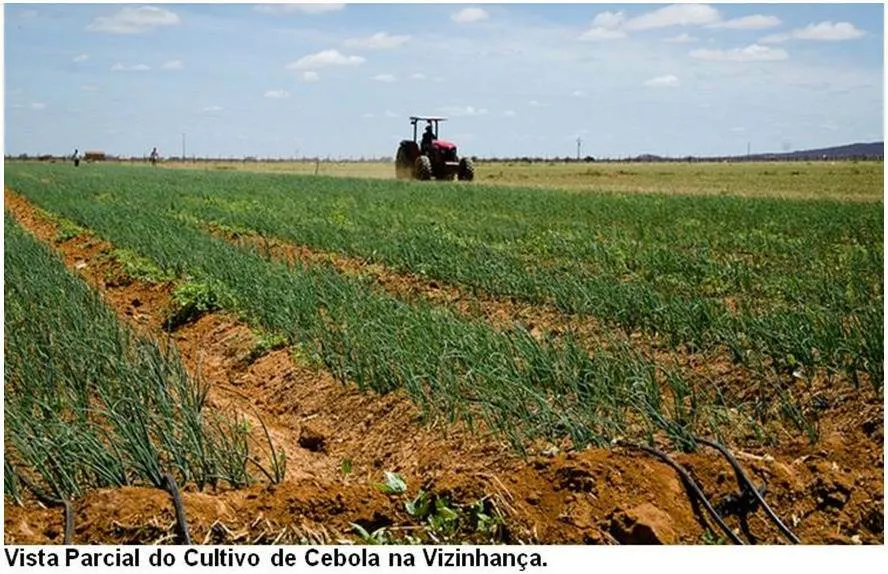 Fazenda à venda de 17.520 ha em Muquém de São Francisco, BA, Brasil