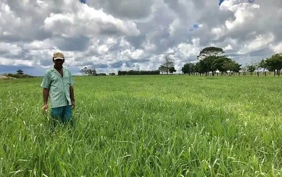 Fazenda à venda de 17.520 ha em Muquém de São Francisco, BA, Brasil
