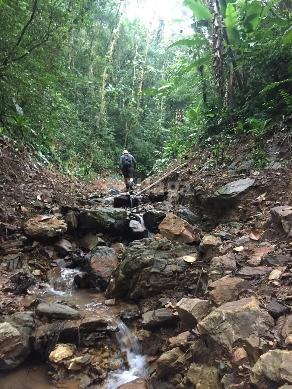 Chácara à venda de 21 ha em Guabiruba, SC, Brasil