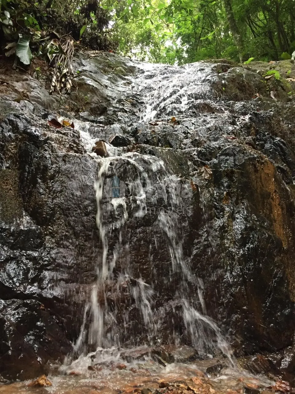 Chácara à venda de 21 ha em Guabiruba, SC, Brasil