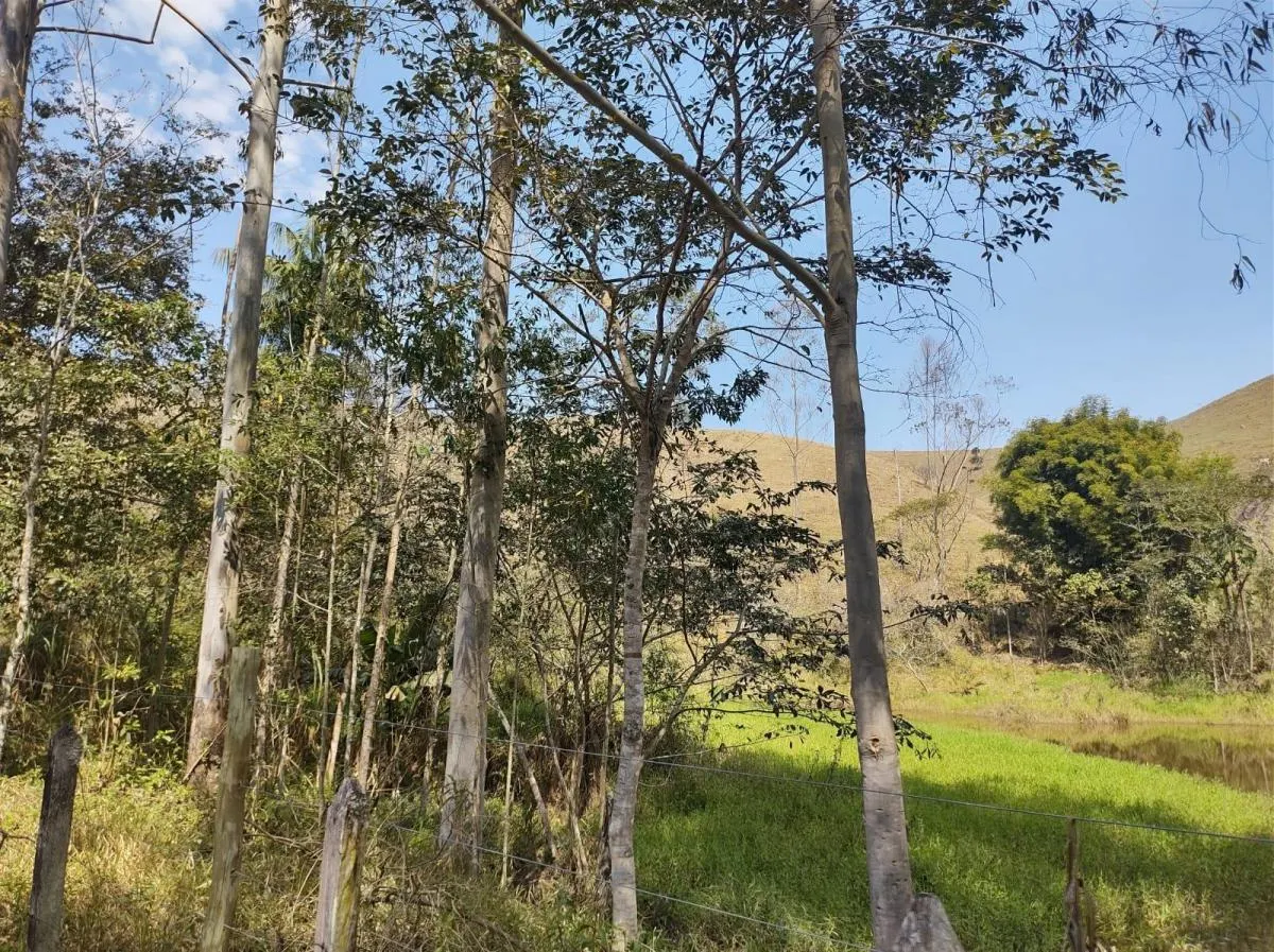 Small farm for sale of 37 acres in São José dos Campos, SP, Brazil