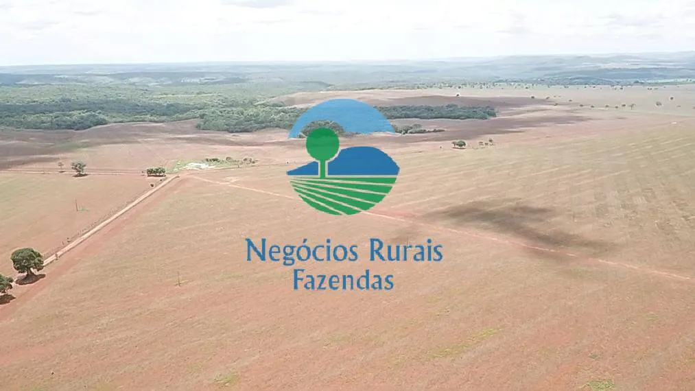 Fazenda à venda de 1.393 ha em Santa Tereza de Goiás, GO, Brasil