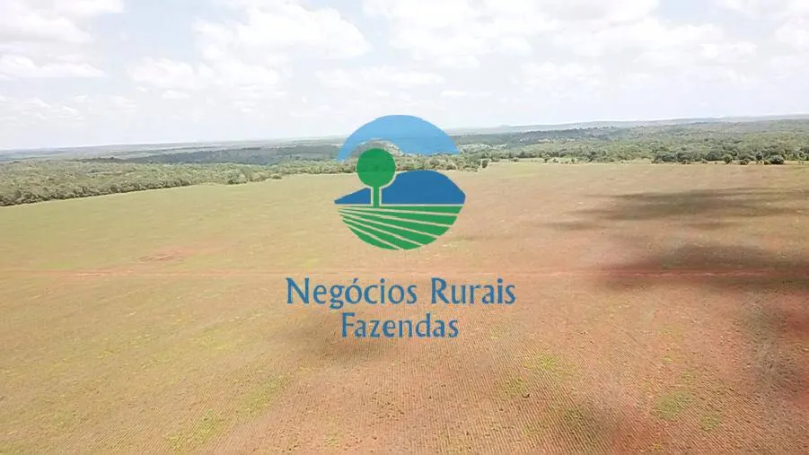 Fazenda à venda de 1.393 ha em Santa Tereza de Goiás, GO, Brasil