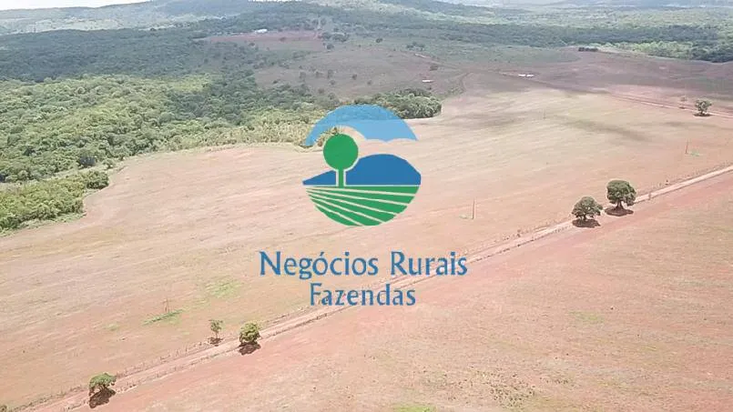Fazenda à venda de 1.393 ha em Santa Tereza de Goiás, GO, Brasil