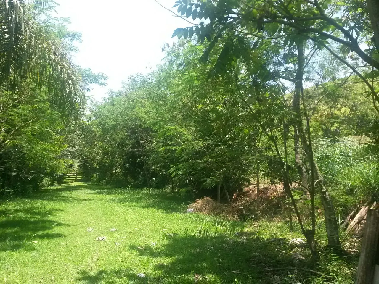 Sítio à venda de 4 ha em Barra do Piraí, RJ, Brasil