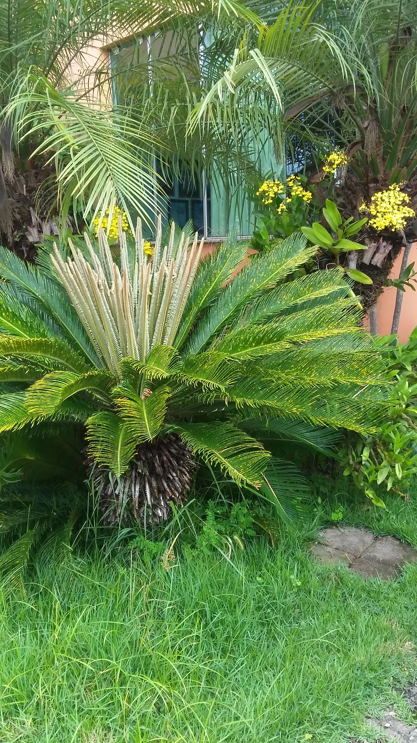 Sítio à venda de 4 ha em Barra do Piraí, RJ, Brasil
