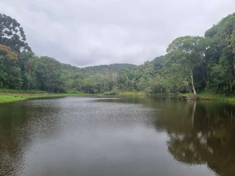 Fazenda à venda de 61 ha em São Lourenço da Serra, SP, Brasil