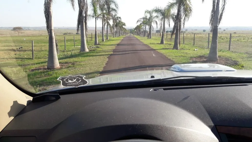 Fazenda à venda de 1.089 ha em Presidente Prudente, SP, Brasil