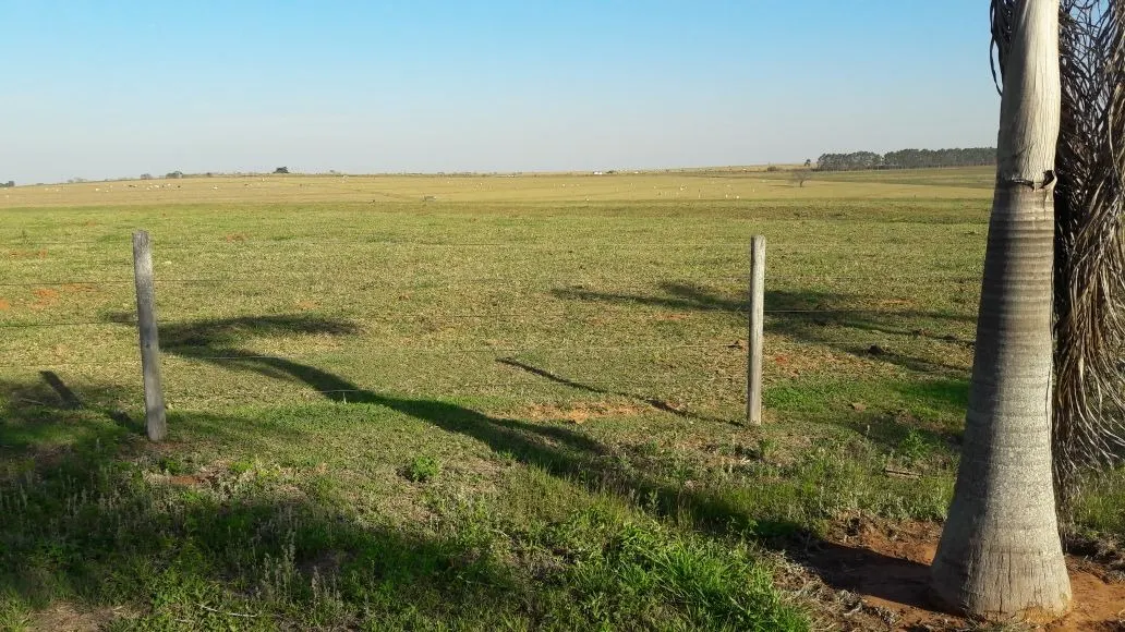 Fazenda à venda de 1.089 ha em Presidente Prudente, SP, Brasil