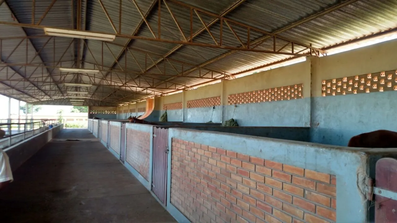 Fazenda à venda de 1.089 ha em Presidente Prudente, SP, Brasil