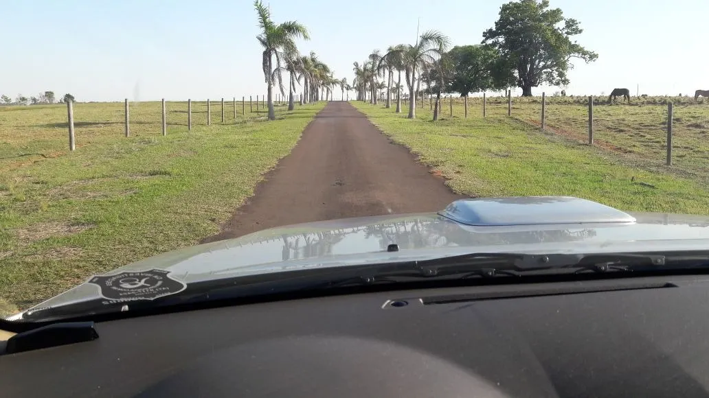 Fazenda à venda de 1.089 ha em Presidente Prudente, SP, Brasil