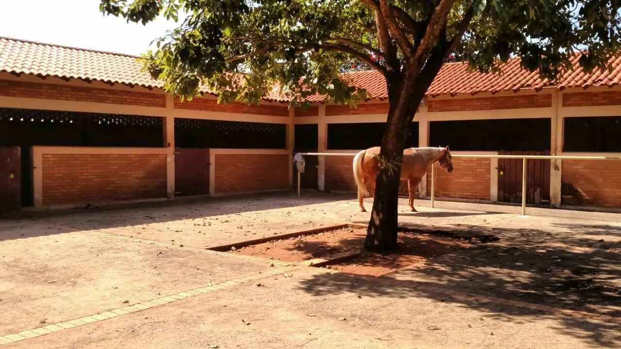 Fazenda à venda de 1.089 ha em Presidente Prudente, SP, Brasil